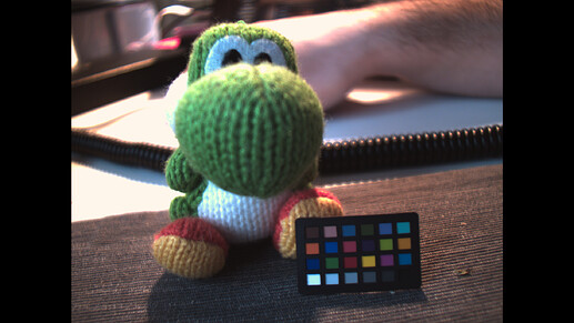 Yoshi_Corrected