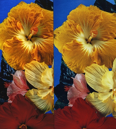 dye transfer vs inkjet 2 D.D. Teoli Jr.