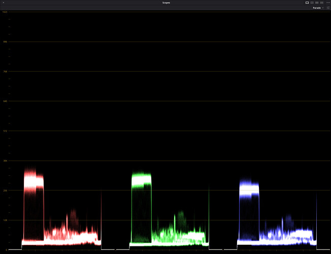 2024-12-10 L800 DNG_TIFF