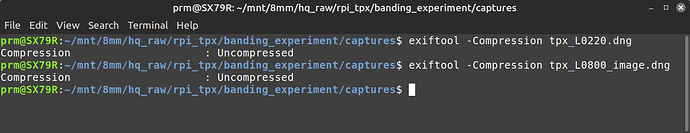 Screenshot from 2024-12-10 16-18-59