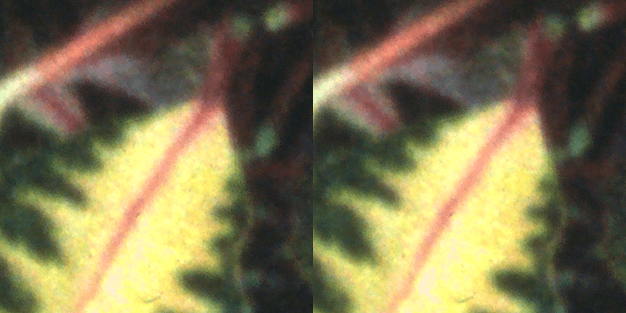 dng_vs_pisp