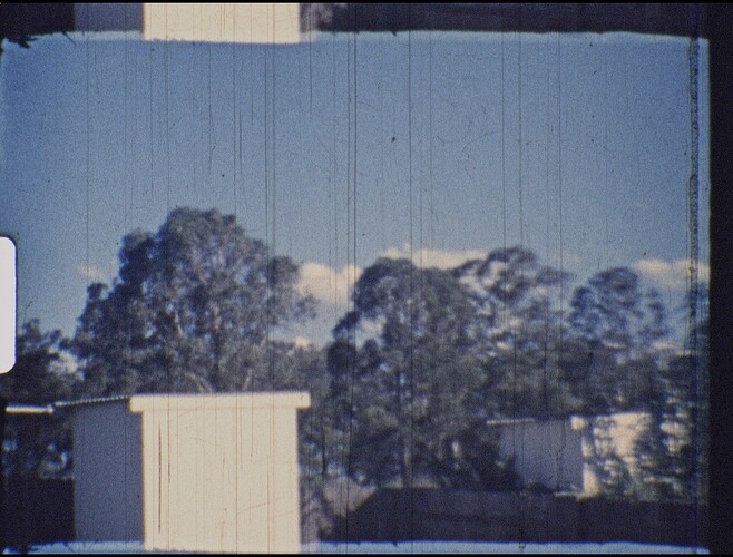 dry scan_1.1.1