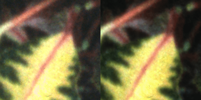 dng_vs_png