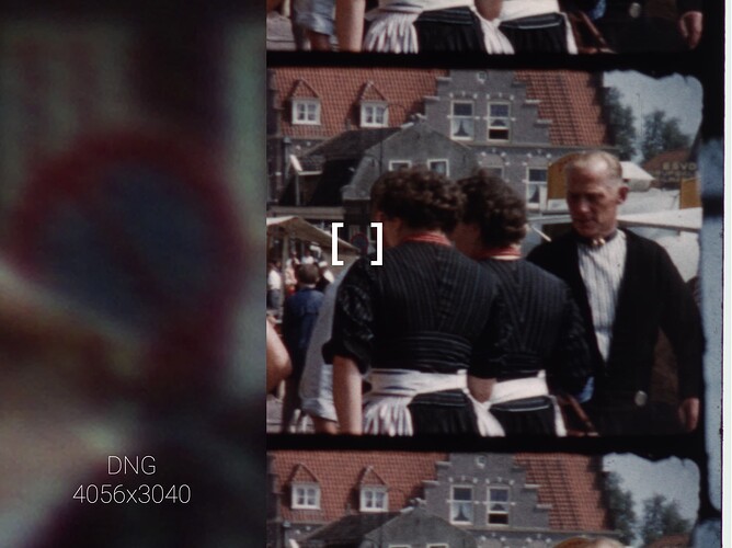 20241102  dng