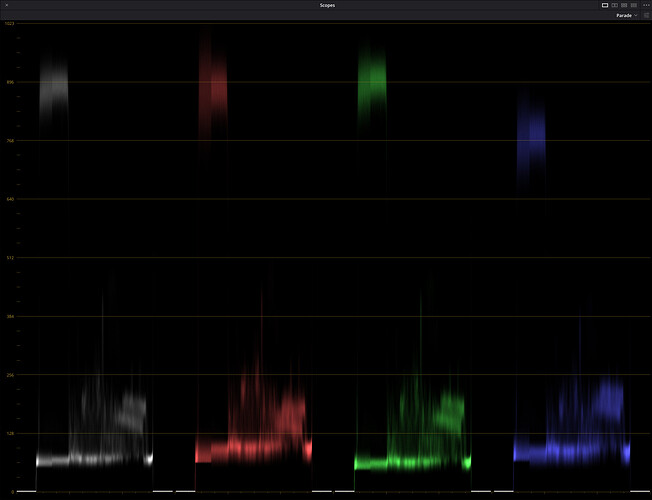2024-12-10 Resolve Image Gain 3 Waveform