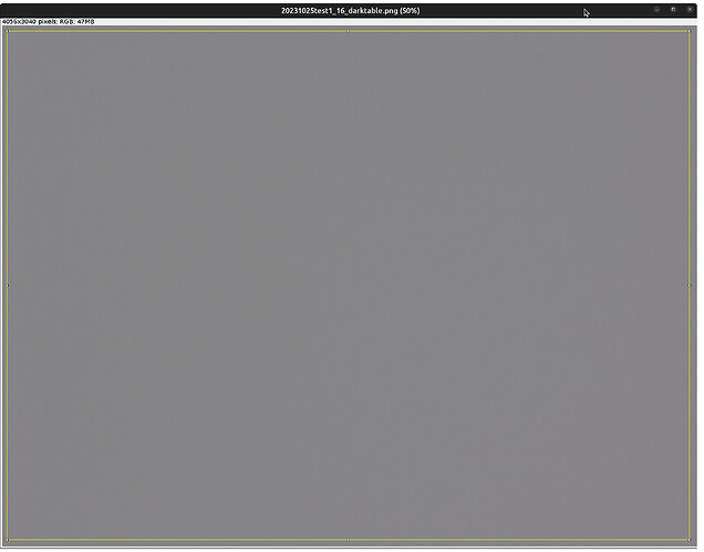 20231026 ImageJ Area Selection