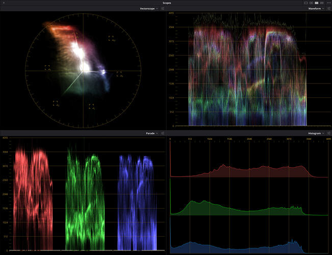 Screenshot from 2026-01-29 10-29-22