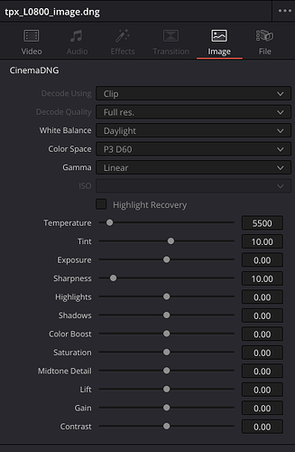2024-12-10 DNG Development Settings