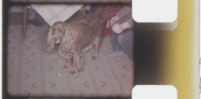 8mm test2