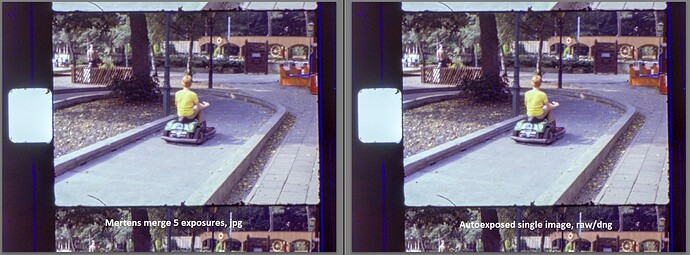 mertens vs autoexpose - raw