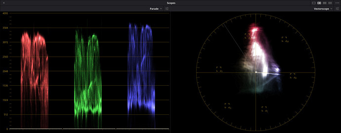 Screenshot from 2026-01-30 04-55-06